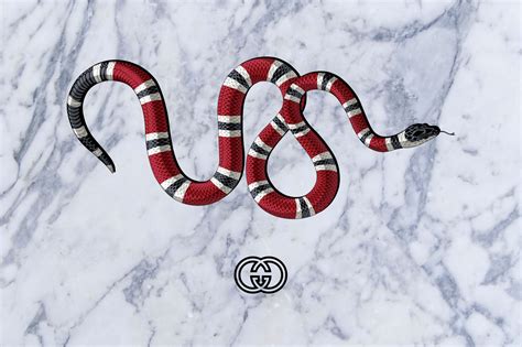 gucci snake fabic|gucci snake meaning.